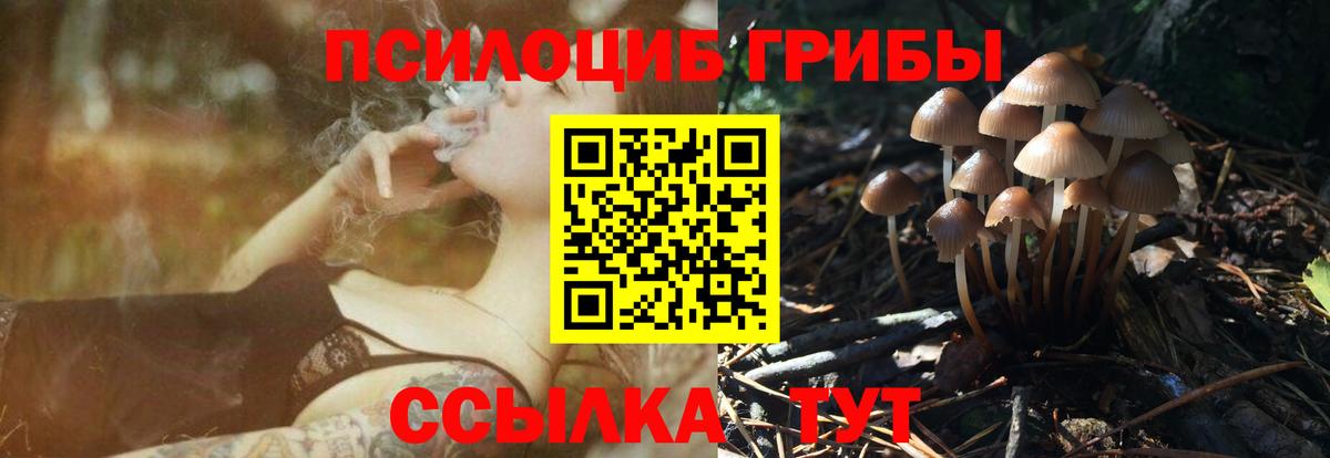 Беслан  Псилоцибиновые грибы мухоморы  где купить наркоту  Вход с VPN 